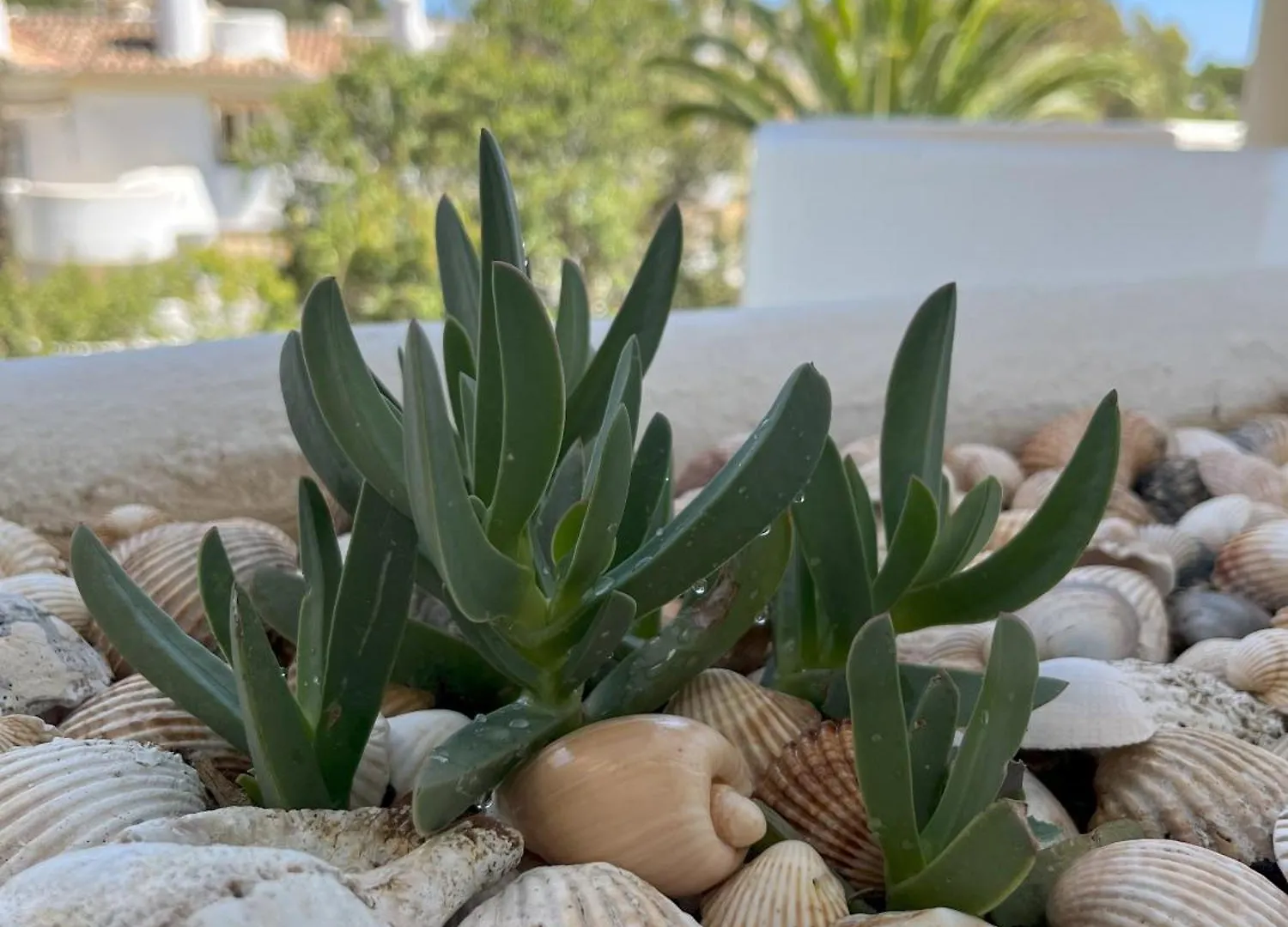 Apartment Casadeleon - Costadelsol Vacations & Remote Work Sitio de Calahonda