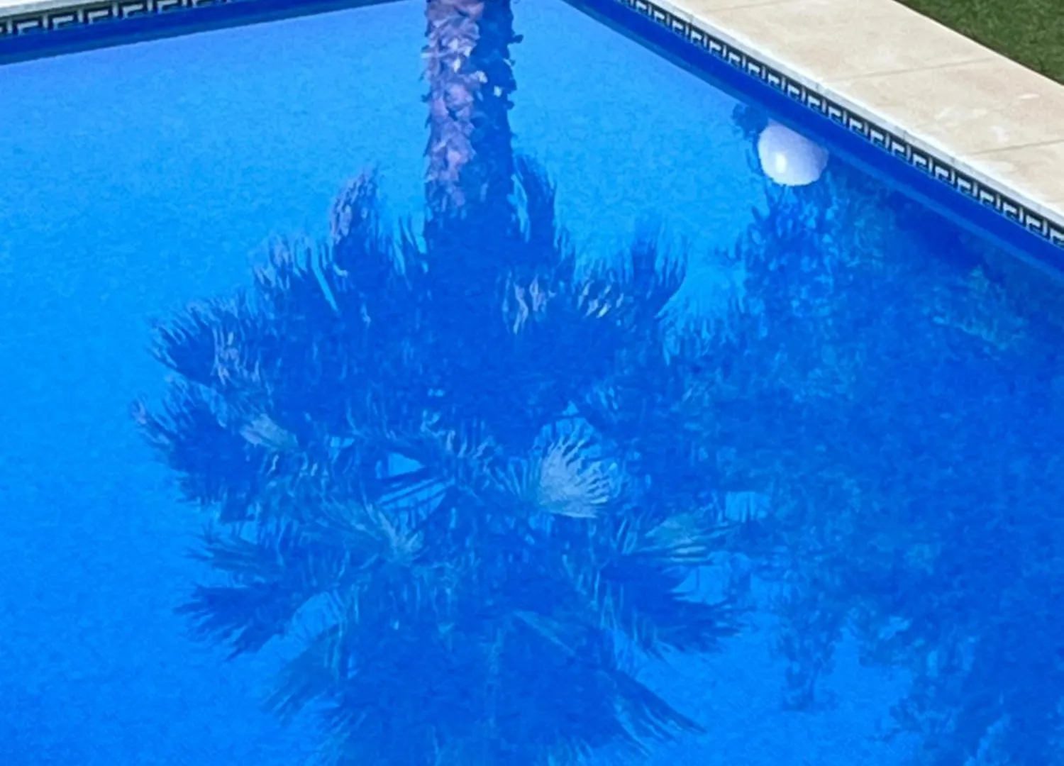 Casadeleon - Costadelsol Vacations & Remote Work Sitio de Calahonda Spain