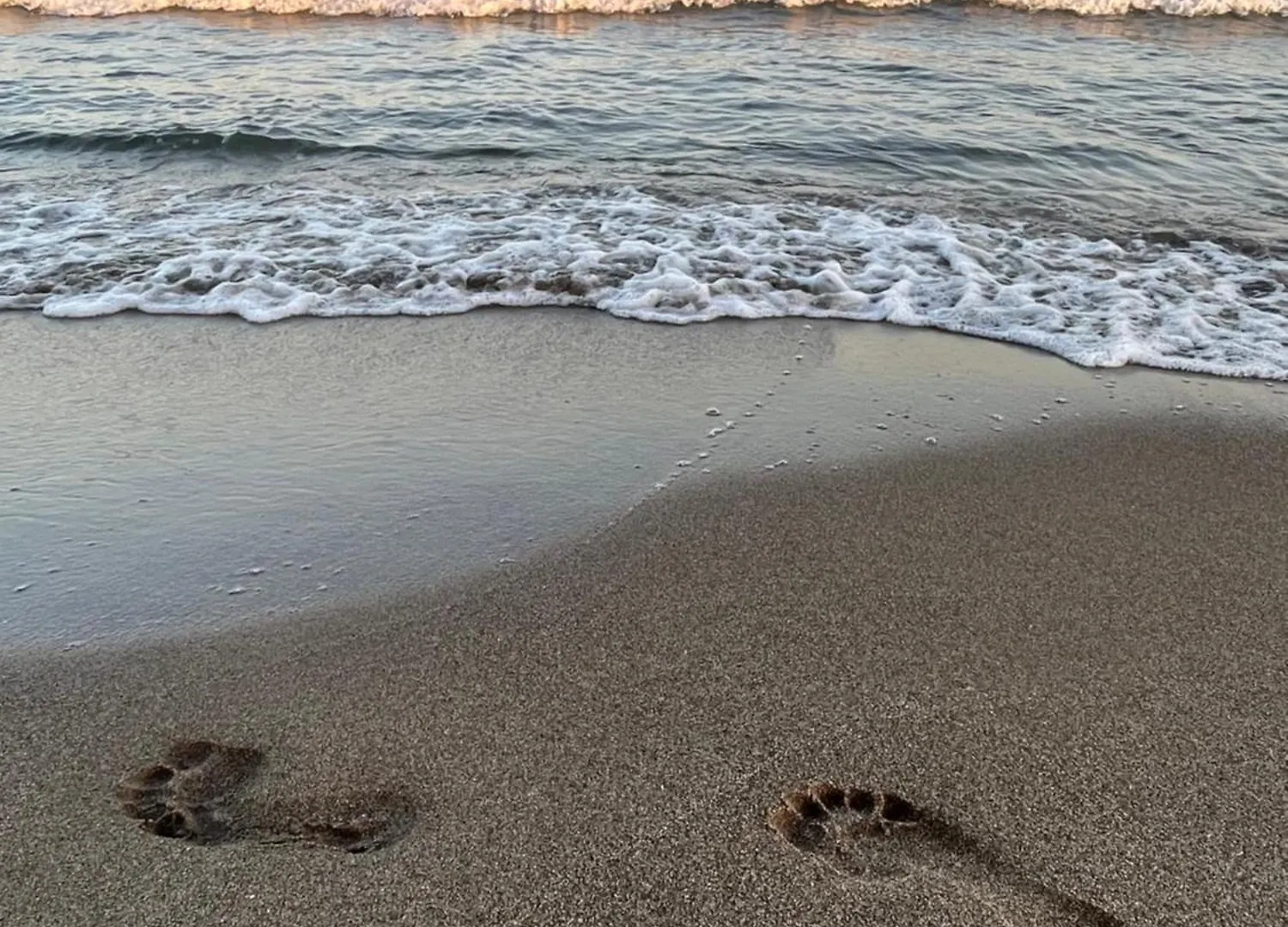 Casadeleon - Costadelsol Vacations & Remote Work Sitio de Calahonda Spain
